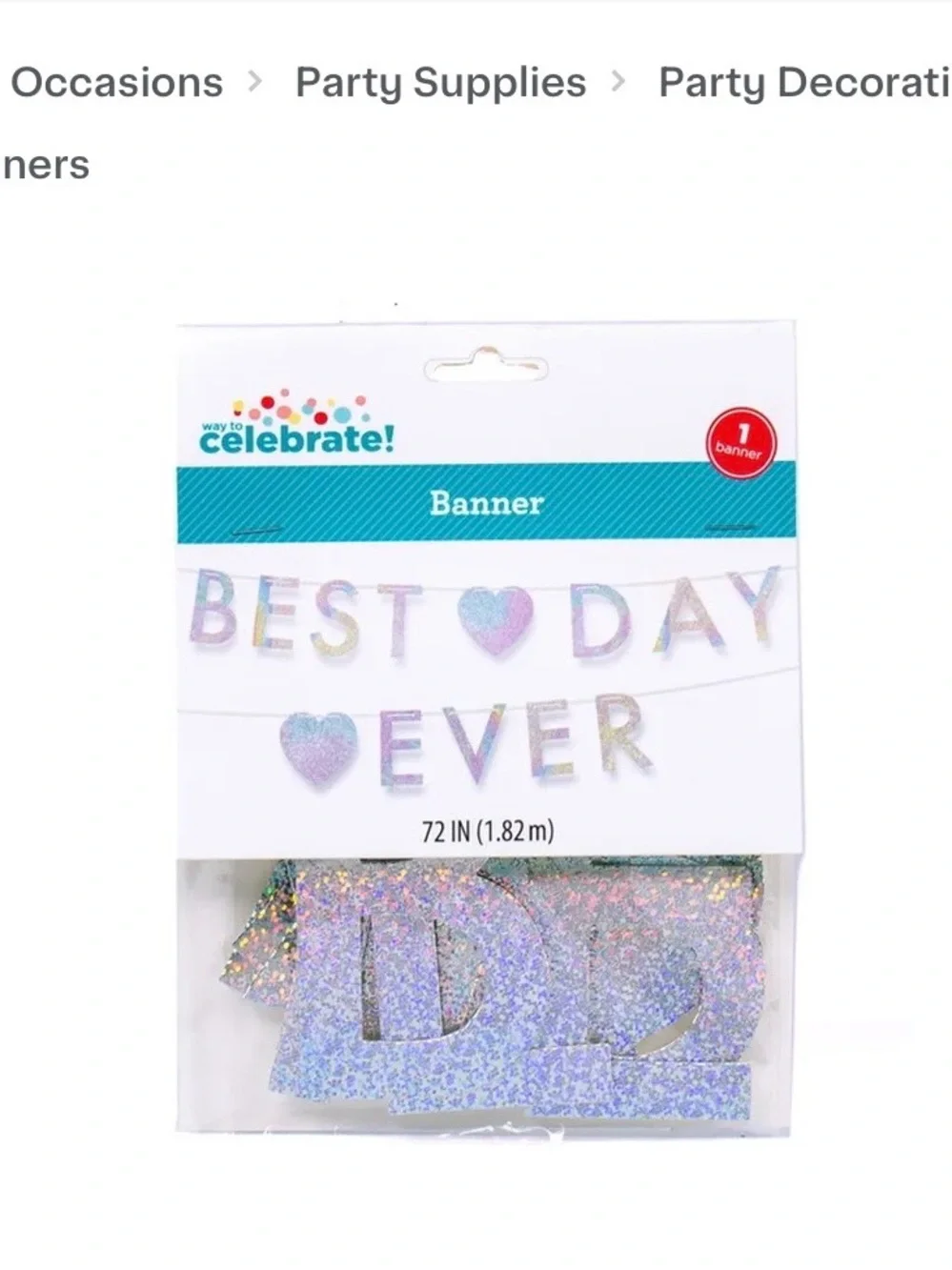 'Best Day Ever' Iridescent Banner - Silver, Foil, 72